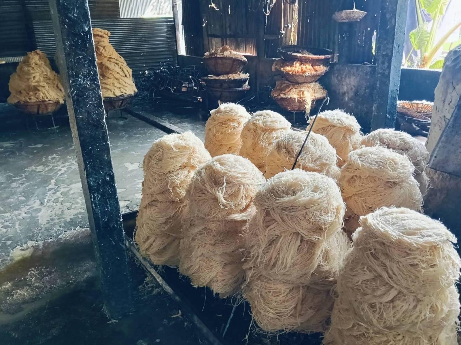 অস্বাস্থ্যকর পরিবেশে সেমাই তৈরি: ২ লাখ টাকা জরিমানা